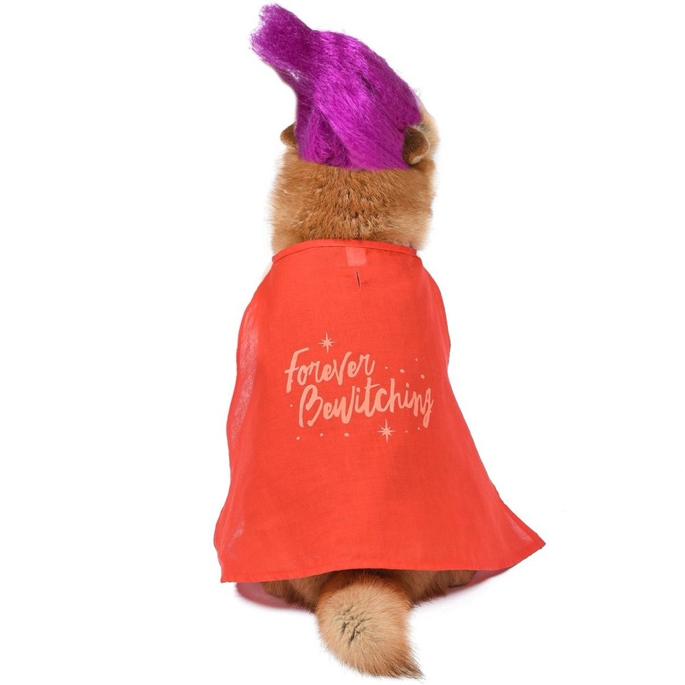 Hocus Pocus Mary Sanderson Dog Pet Halloween Costume Size Medium NWT